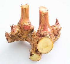 galanga